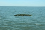 resIMG_20140420_142442_1892.JPG